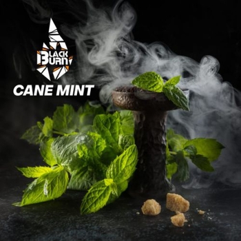 Black Burn 100g (Cane Mint) Перечная Мята