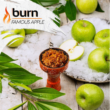 Burn 100g (Famous Apple) Легендарное Ледяное Яблоко