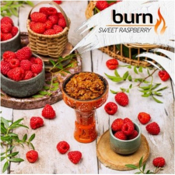 Burn 100g (Sweet Raspberry) Сочная Малина